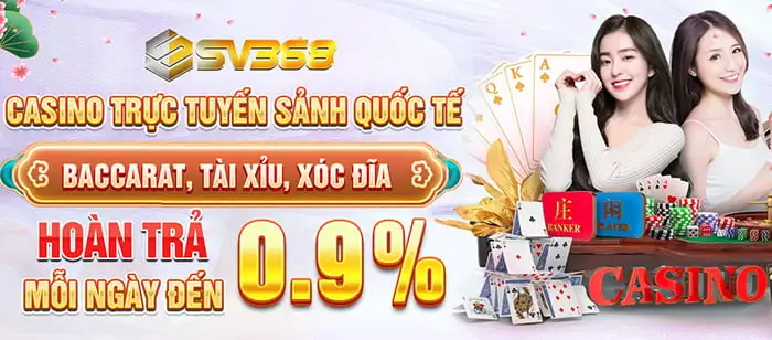 banner-sv368-3
